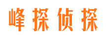 小金侦探公司